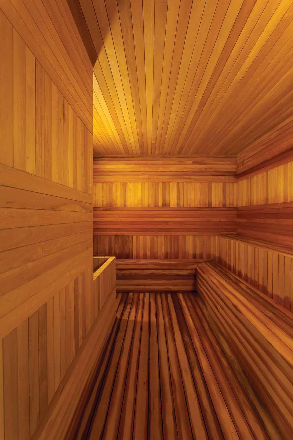 Sauna seca