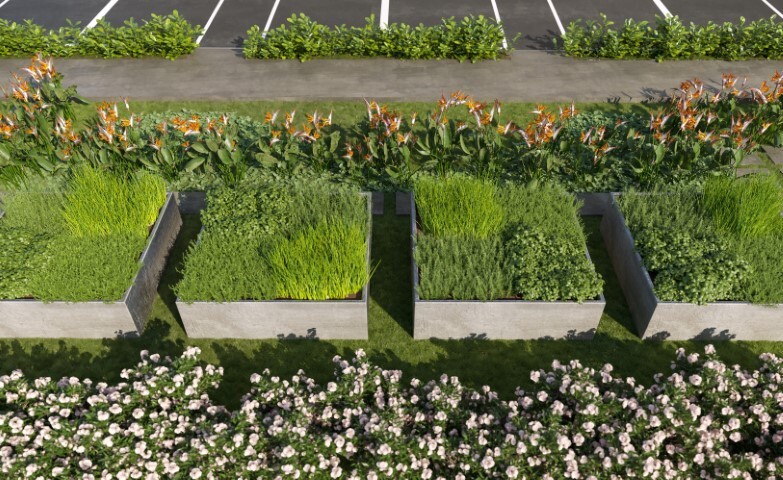 Horta