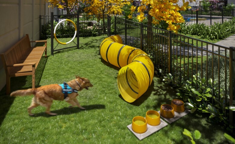 Pet place