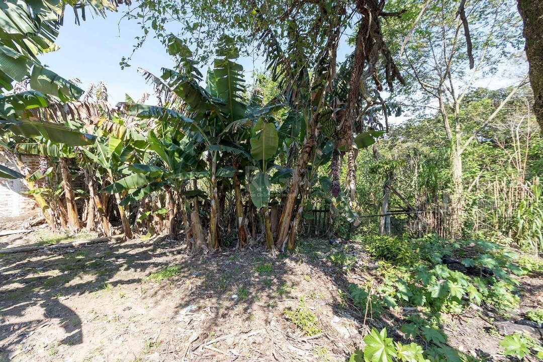 Residencial Multifamiliar de 345m² no bairro Chapéu do Sol, em Porto Alegre | Eu Corretor