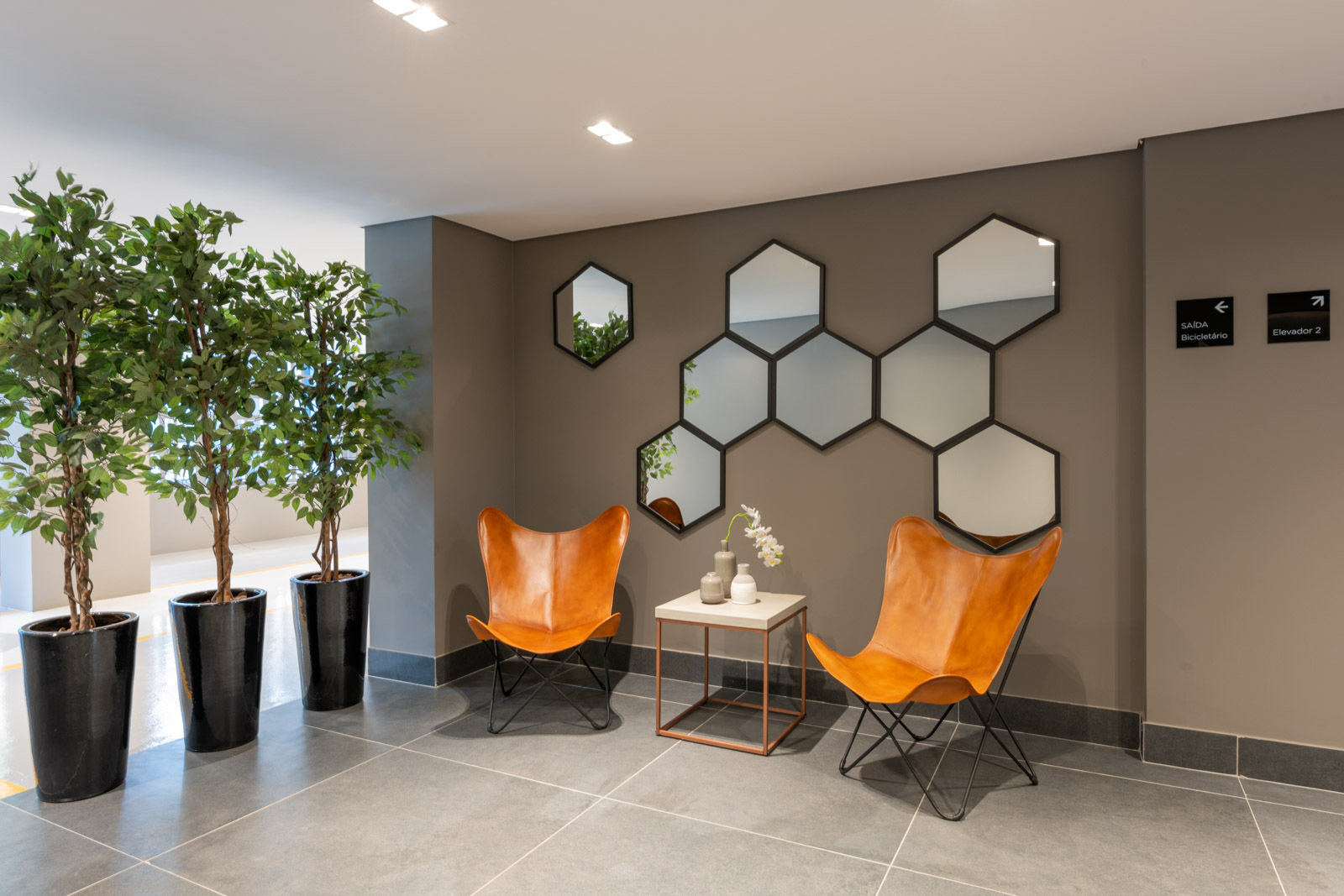 Raízes do Parque - Caucaso Raízes do Parque - Caucaso