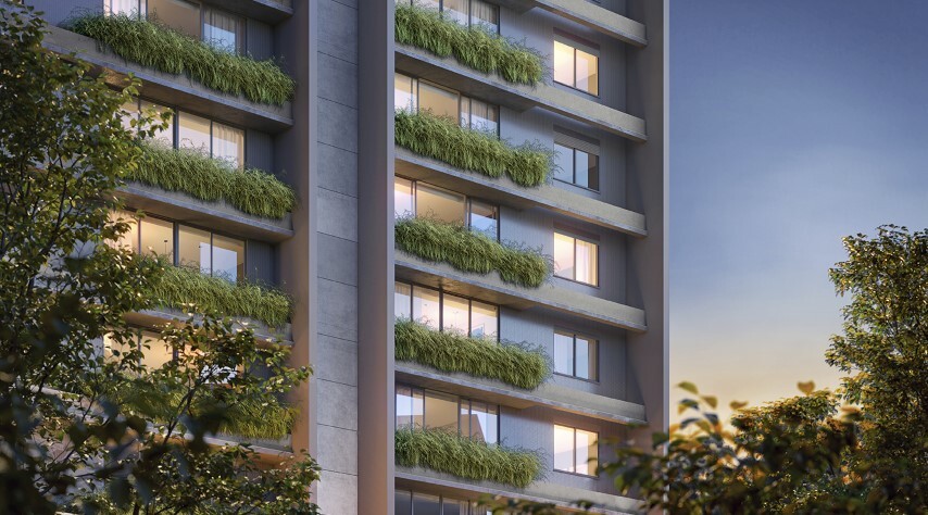 Seen Boa Vista - Melnick