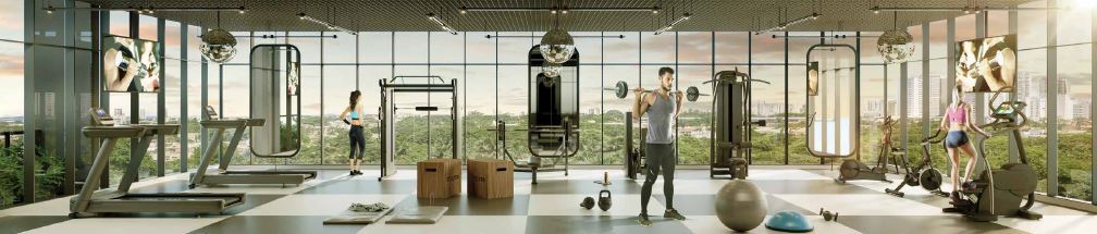 Gyro Ricardo Paranhos - Opus