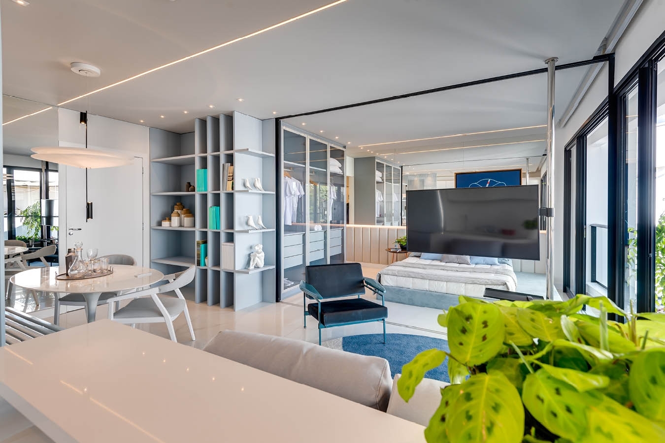 Gyro Vaca Brava Design - Opus