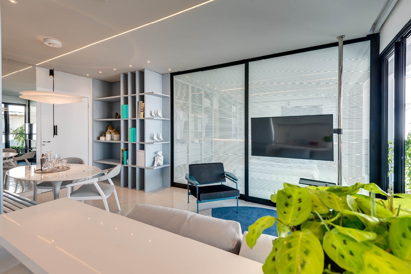 Gyro Vaca Brava Design - Opus