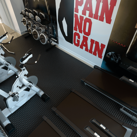 Fitness