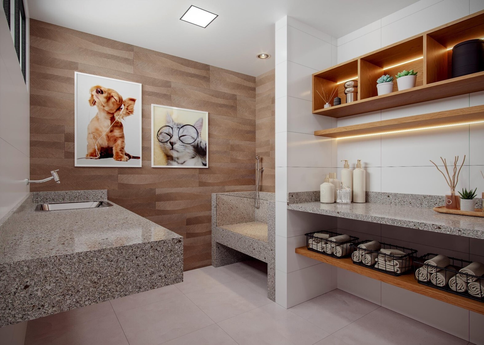 Casa Brasileira Consciente - Consciente Casa Brasileira Consciente - Consciente