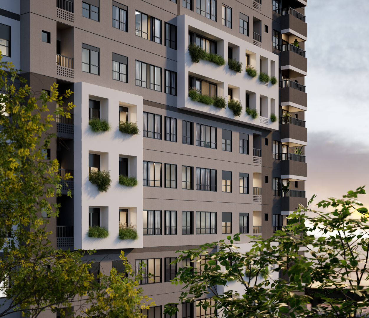 B.Great Nova Suíça - Bambuí