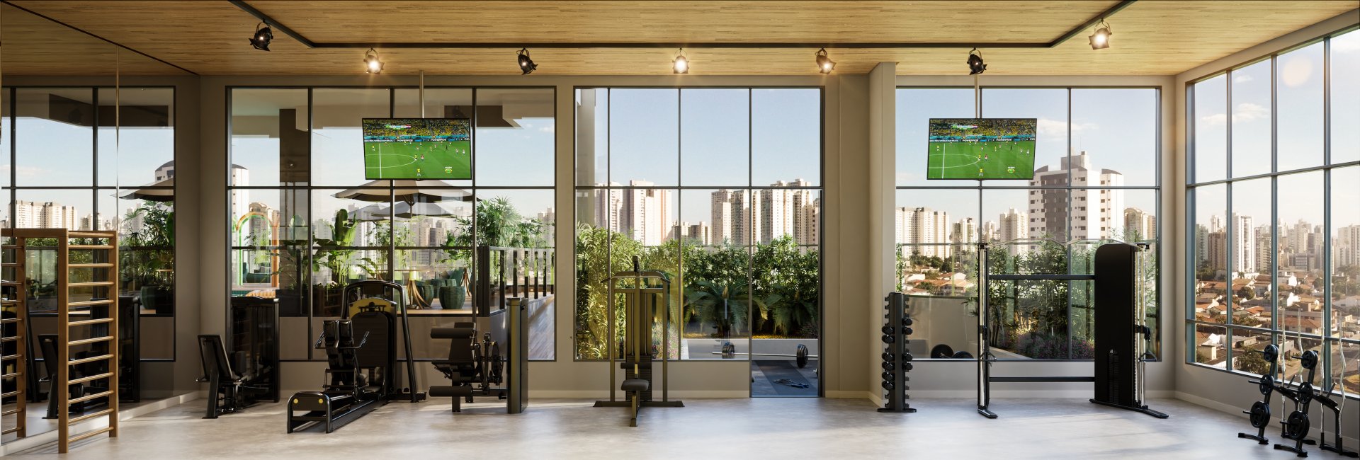 B.Great Nova Suíça - Bambuí