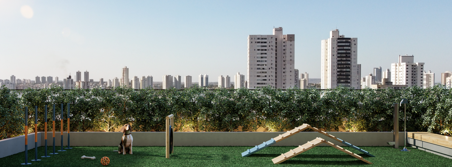 B.Great Nova Suíça - Bambuí