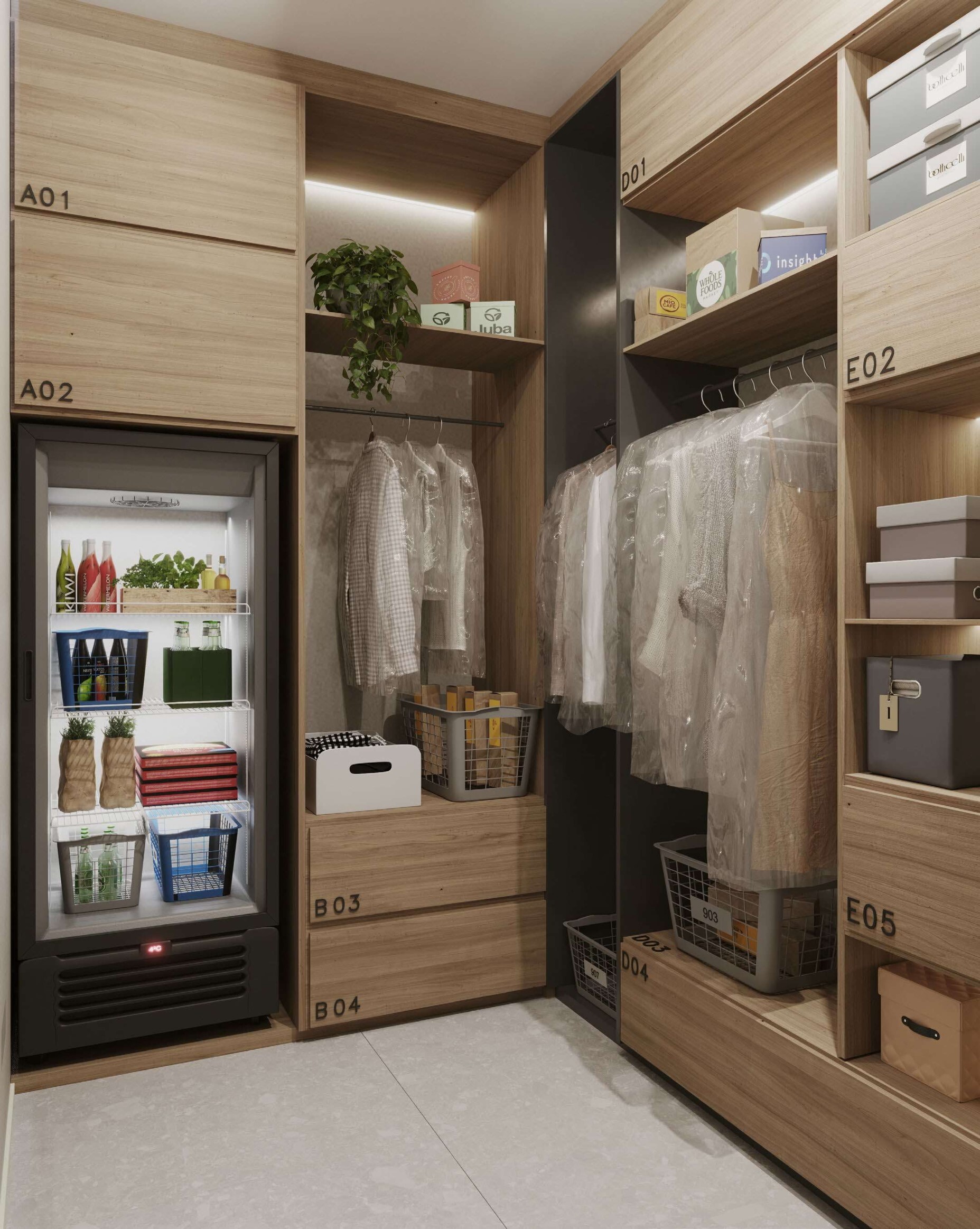 Today Centro - Canopus Today Centro - Canopus