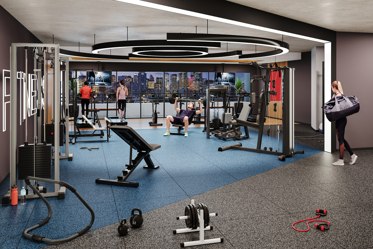 Vista 553 - Graal Vista 553 - Graal