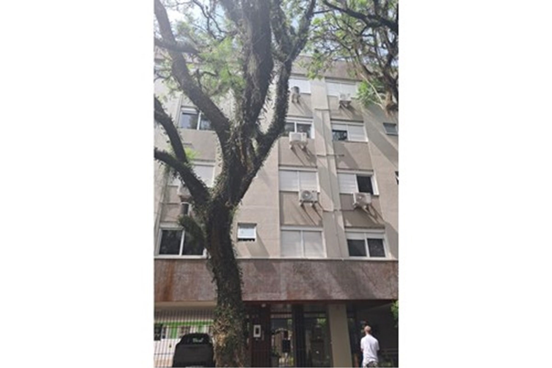 Apartamento no MDSM 393 Apto 47, 1 quarto, à venda, 33 m², Menino Deus - Porto Alegre — foto 2