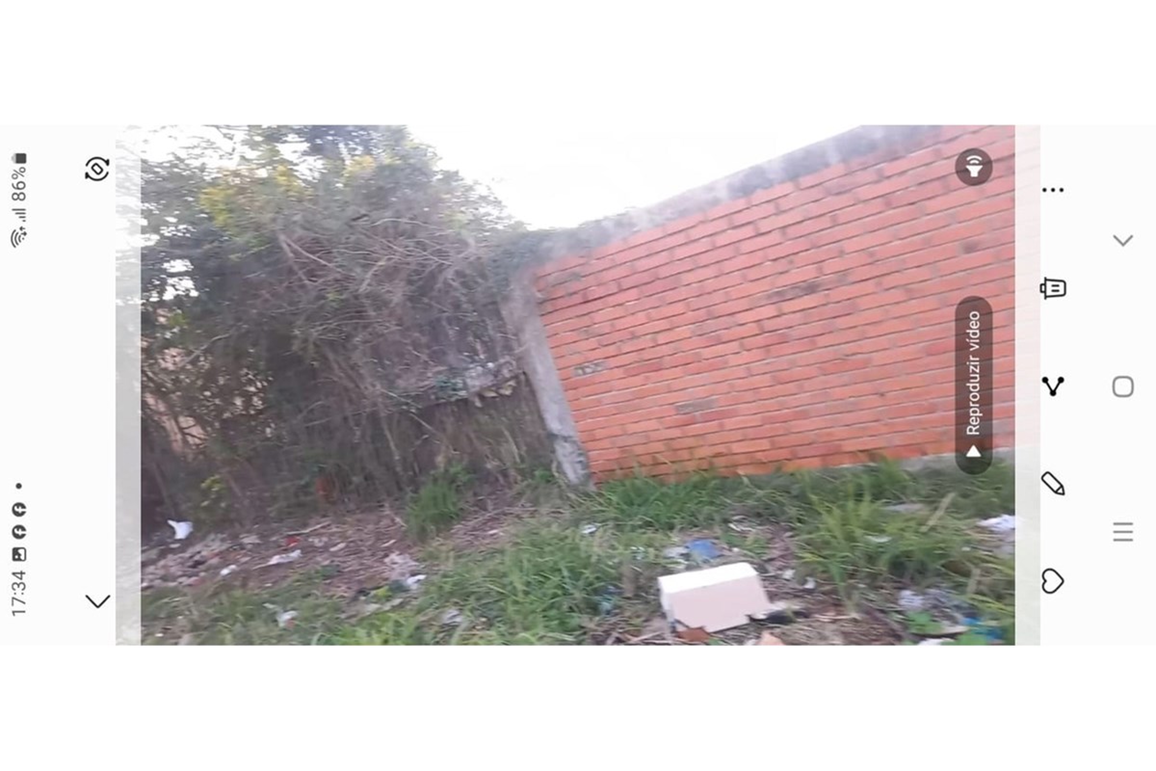 SIES 32 Lote 612521066-17