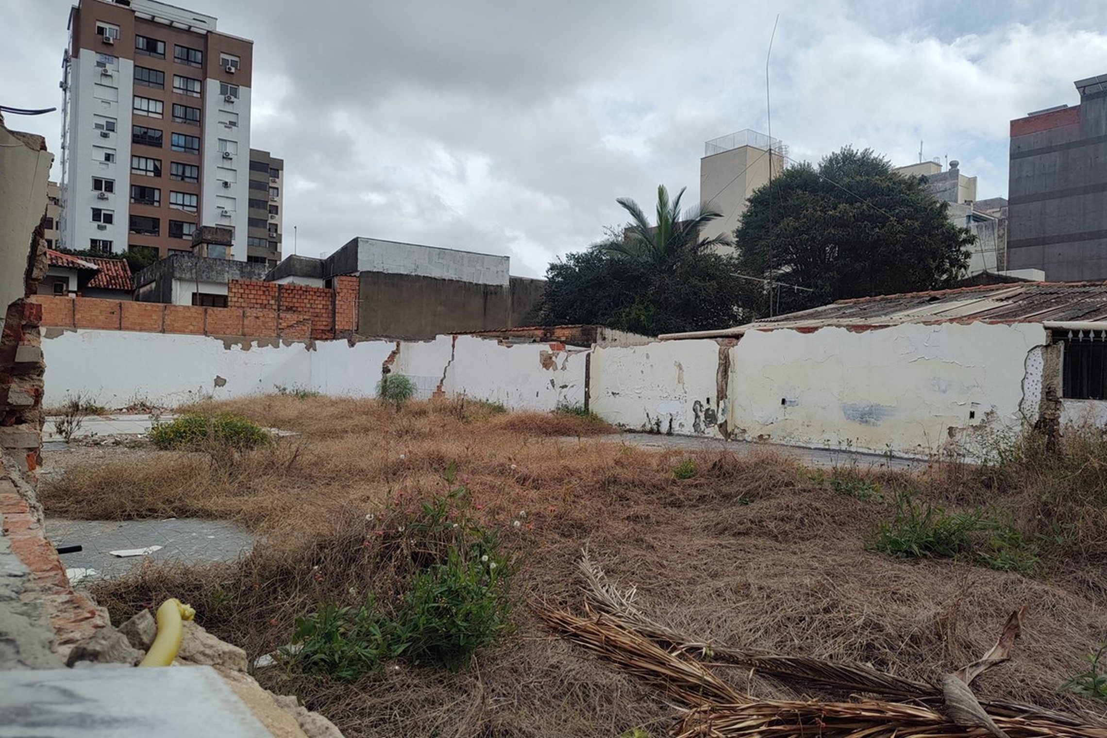 PDJW 151 Lote 612511082-1