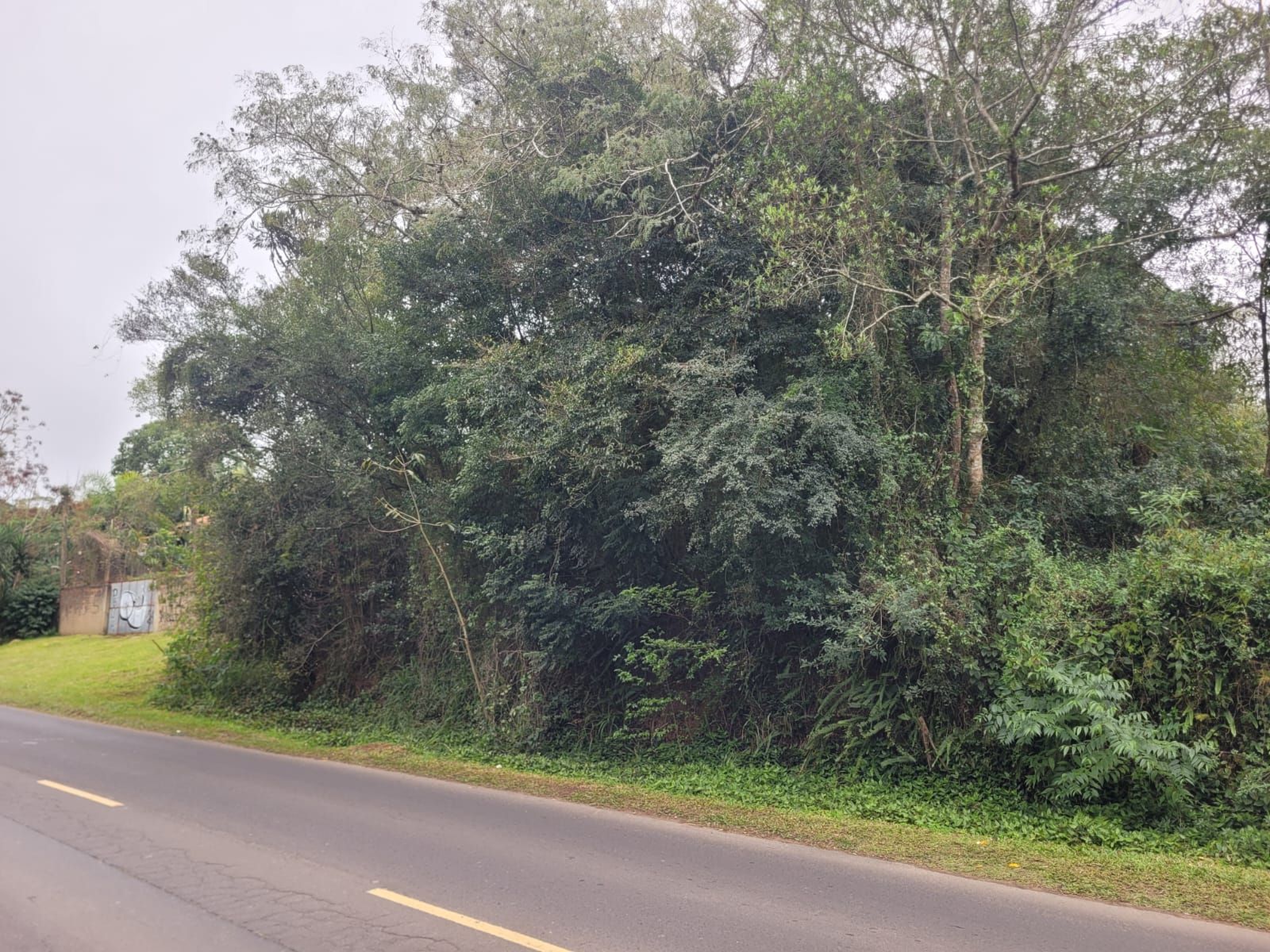 HGL 2605 Lote 0003 - Menegotto Exclusividades — foto 2