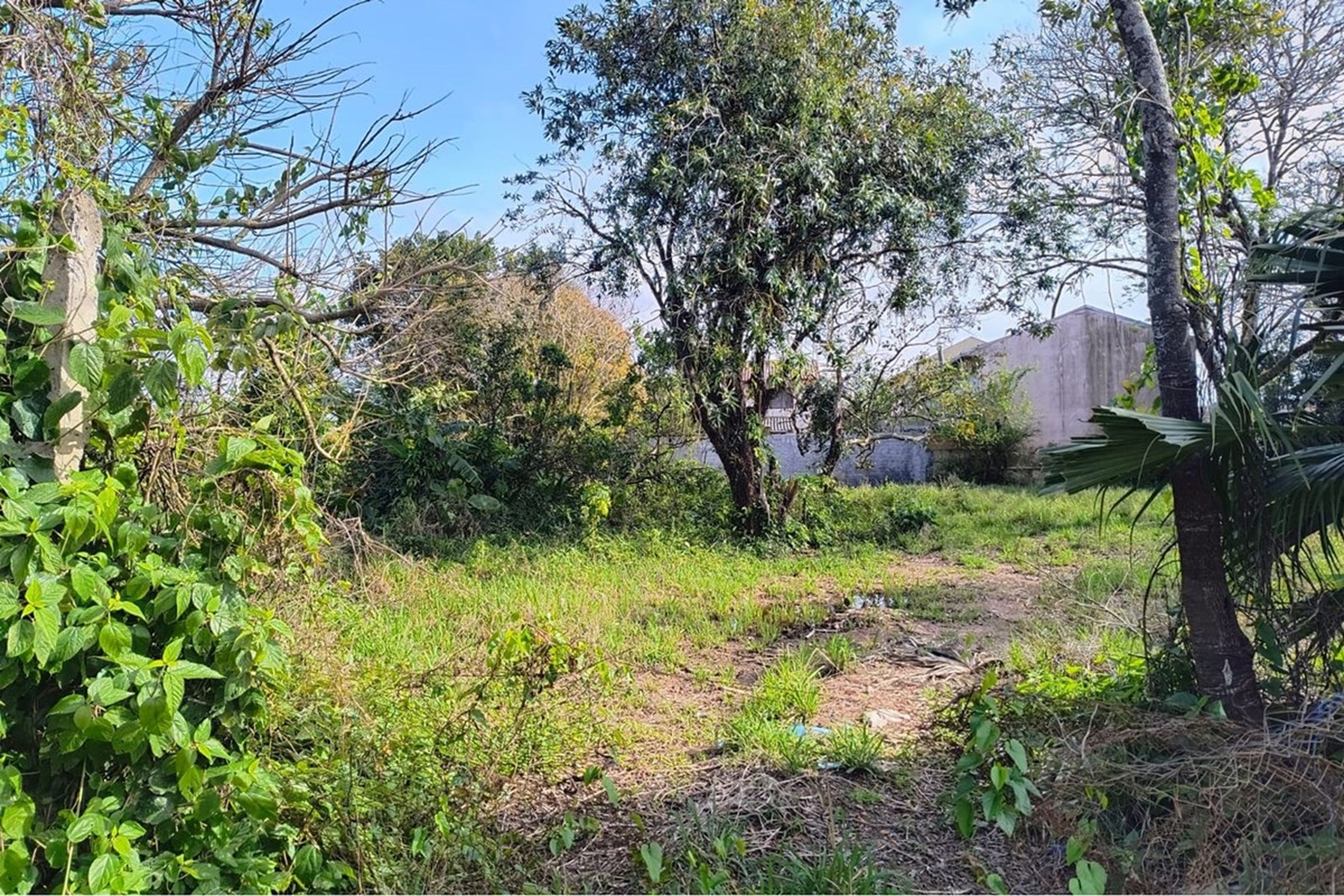 Terreno/Lote Residencial, à venda, 262 m², Eldorado do Sul - Eldorado do Sul — foto 3
