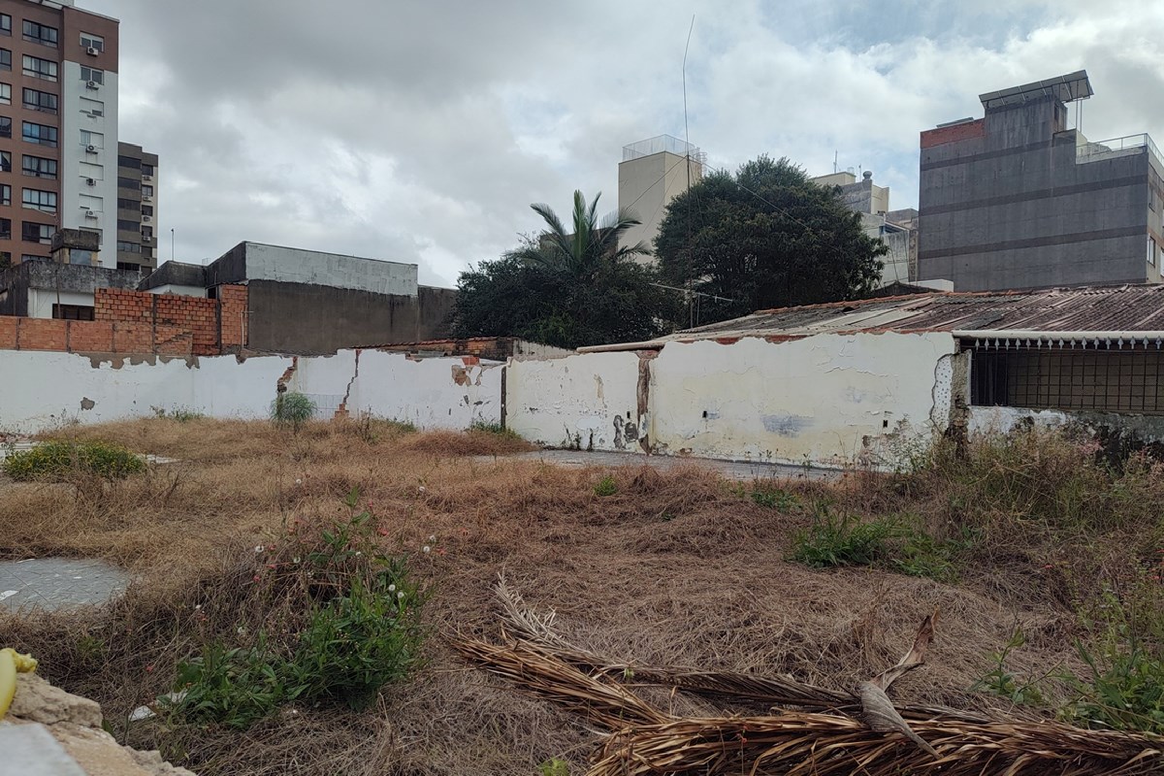 PDJW 151 Lote 612511082-1