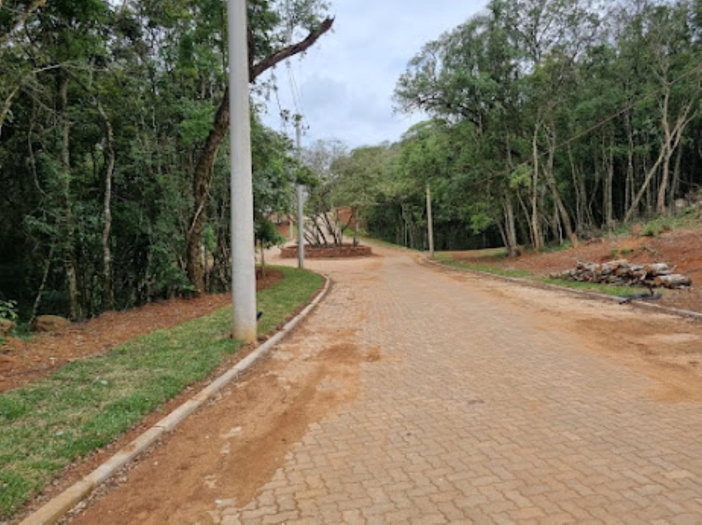 041 acesso