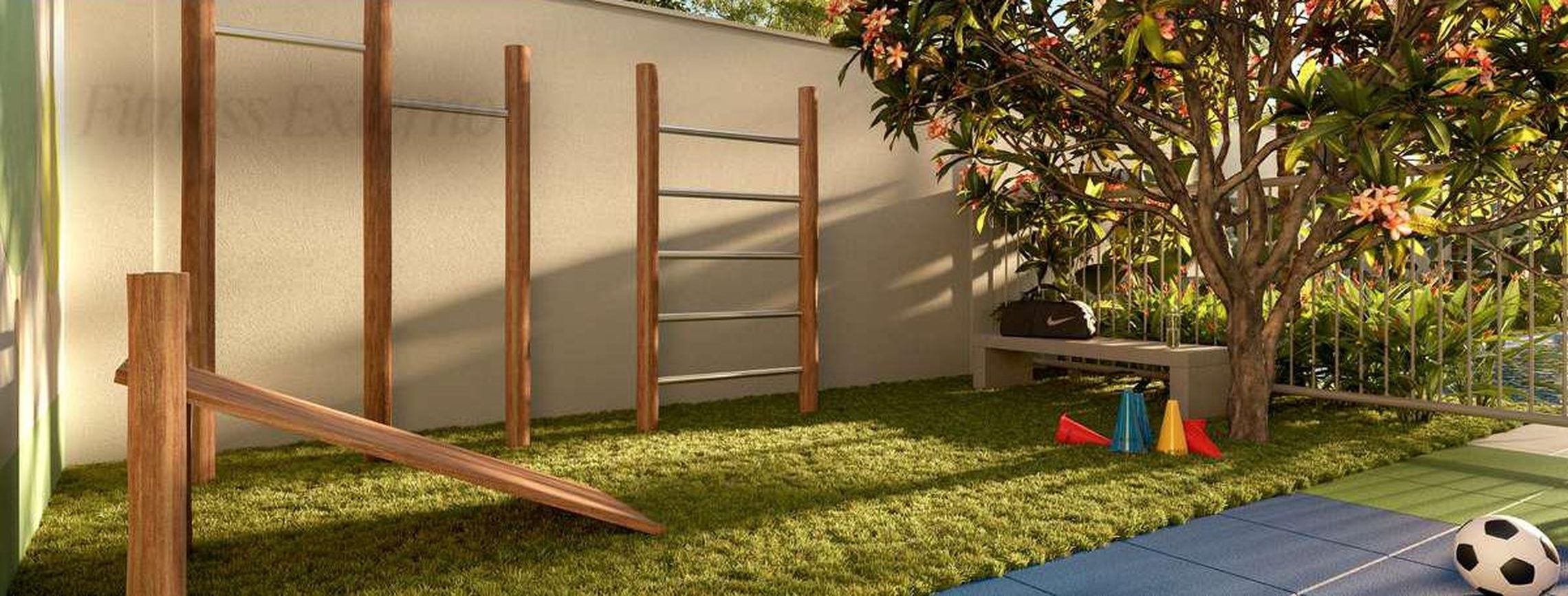 255 fitness externo