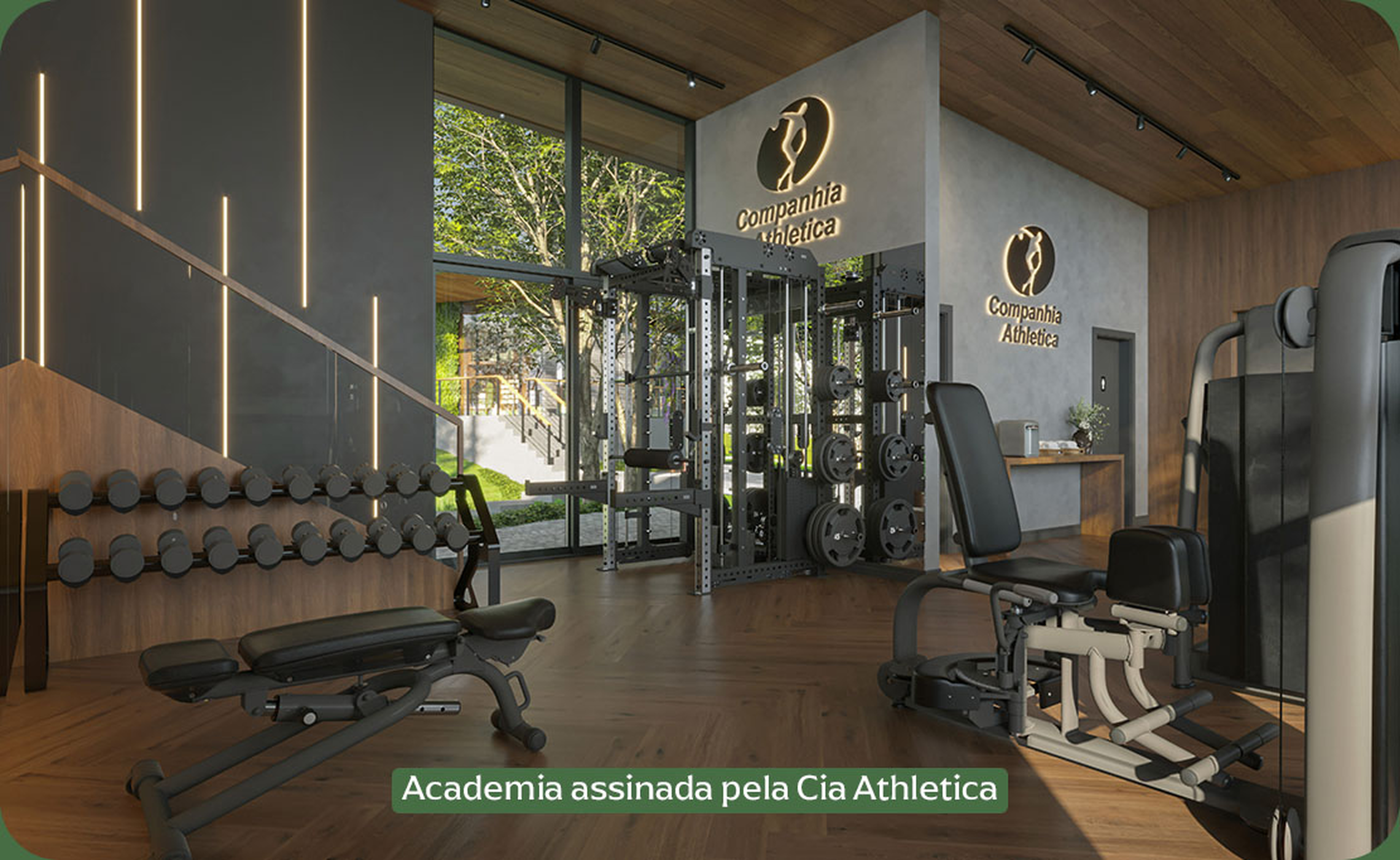 Floresta Wolf — imagem 2