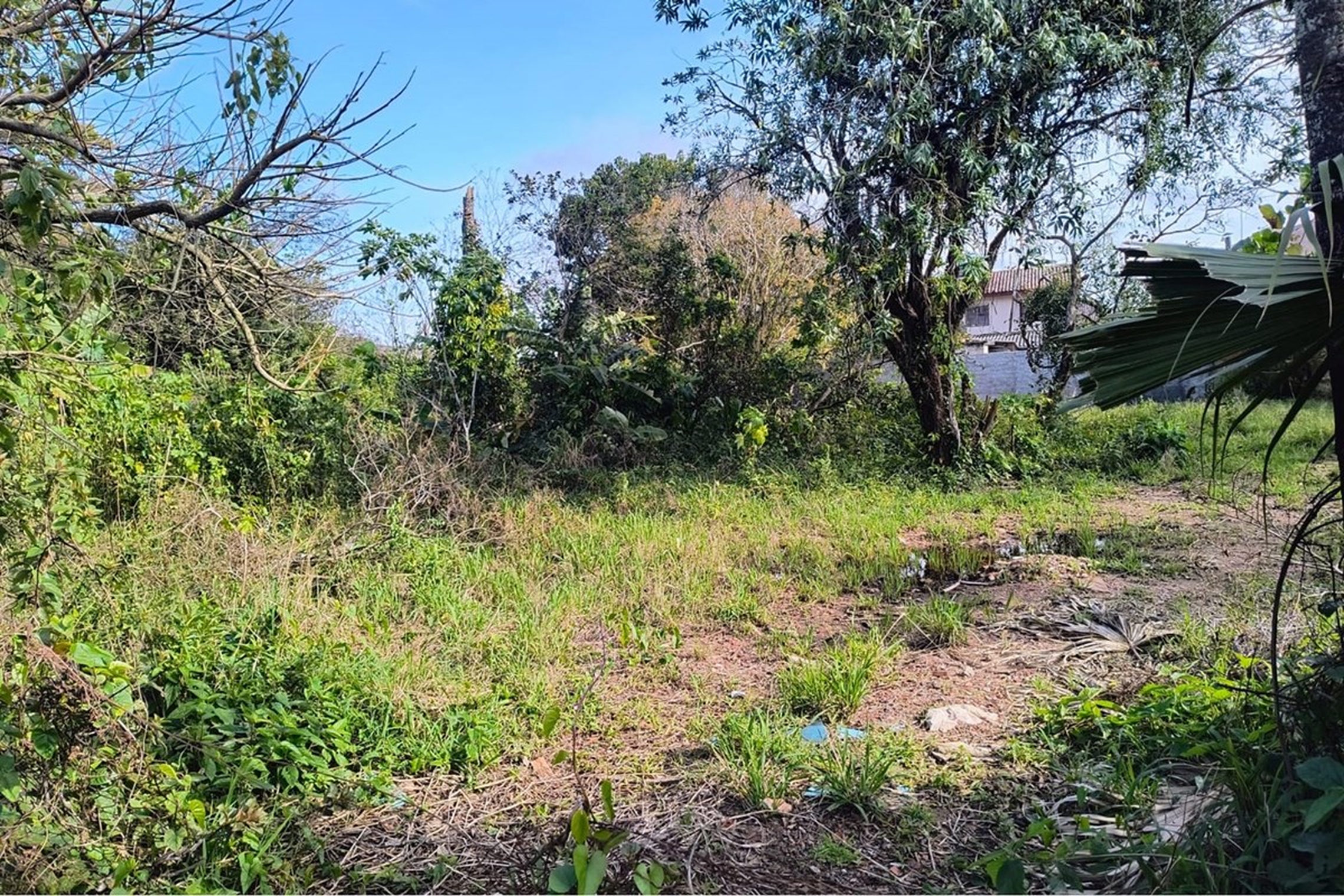 Terreno/Lote Residencial, à venda, 262 m², Eldorado do Sul - Eldorado do Sul — foto 4