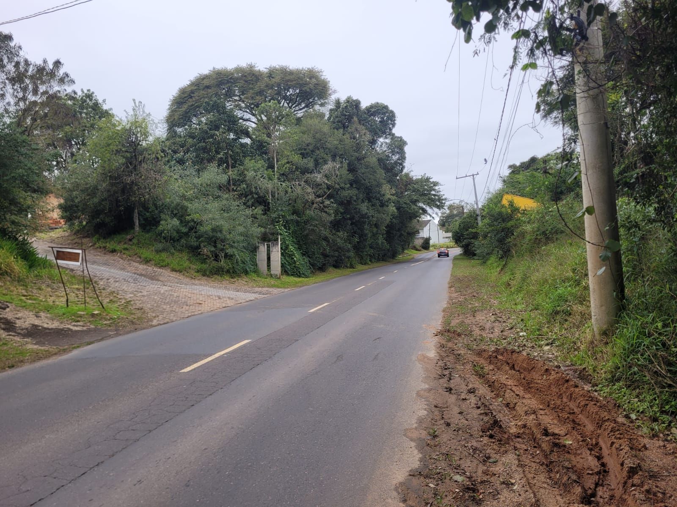 HGL 2605 Lote 0003 - Menegotto Exclusividades — foto 3