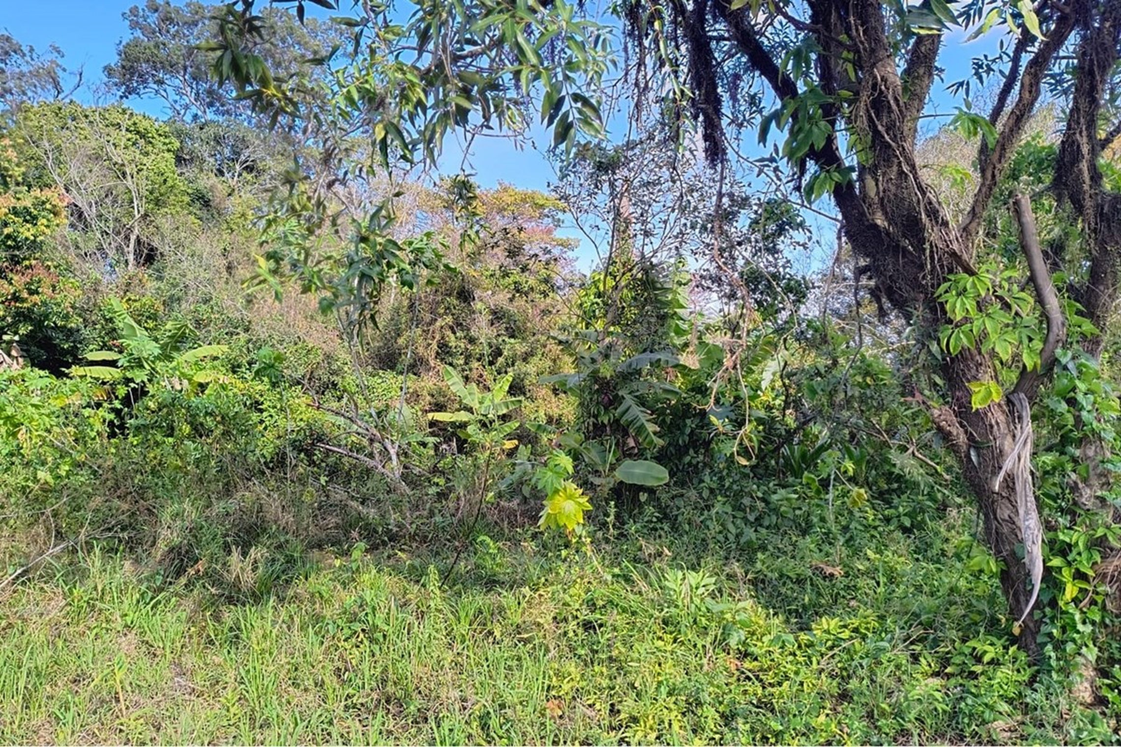 Terreno/Lote Residencial, à venda, 262 m², Eldorado do Sul - Eldorado do Sul — foto 5